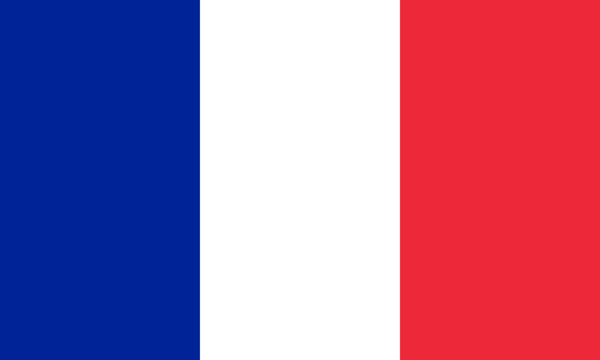 france-flag-graphic-rectangle-french-flag-illustration-france-country-flag-is-a-symbol-of-freedom-patriotism-and-independence-vector